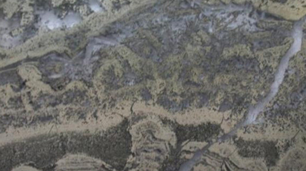 Hallan vida de hace 3.500 millones de años